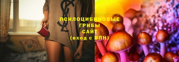 амфетамин Алексеевка