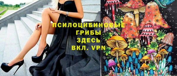 МДПВ Абинск