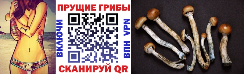 Галлюциногенные грибы GOLDEN TEACHER  Лиски 